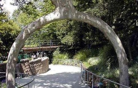 5 secrete fascinante luate in mormant