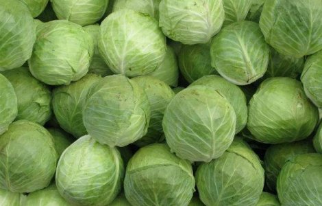 Un compus din varza ar putea reduce efectele secundare ale radioterapiei