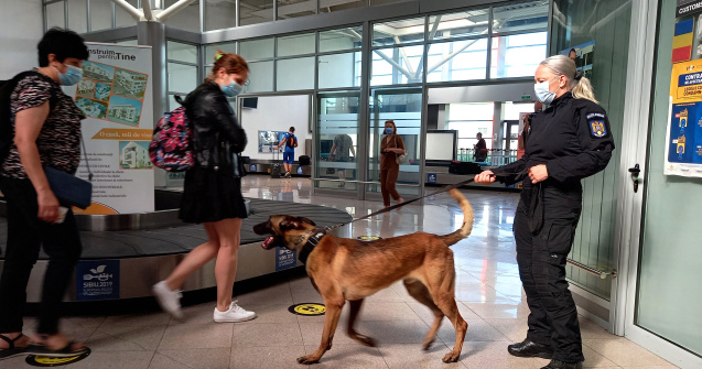 Premieră în România! Un câine de miros COVID-19 a semnalat trei pasageri ca fiind infectați pe aeroportul Sibiu