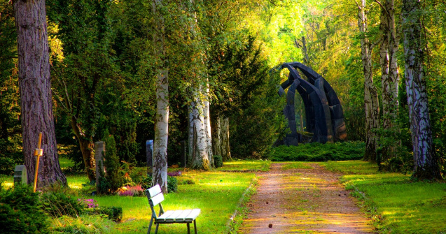 Tratamente fitosanitare în parcurile din București, în perioada 10-23 august