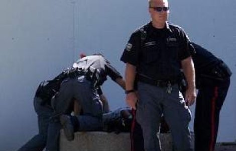 34 de romani retinuti pentru infractiuni informatice