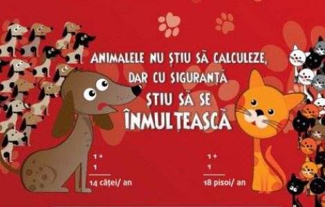 Mega-Maratonul Sterilizarilor