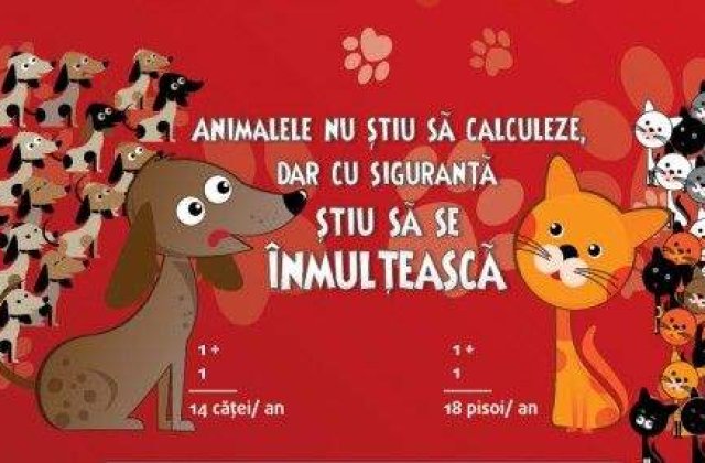 Mega-Maratonul Sterilizarilor