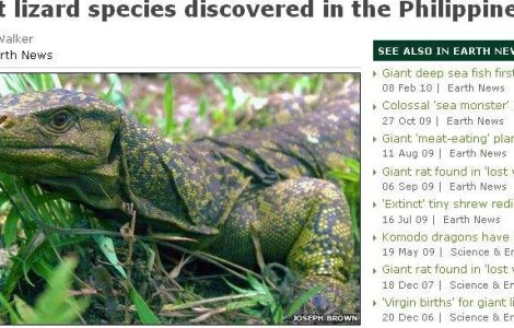 A fost descoperita soparla cu 2 penisuri