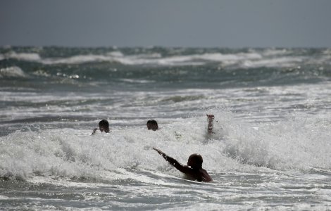 Copil de 3 ani desfigurat de un câine de rasă, în mare, la Mamaia