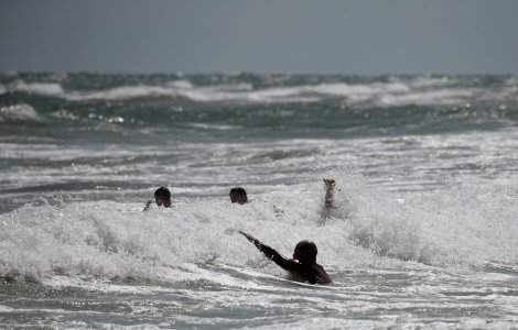 Copil de 3 ani desfigurat de un câine de rasă, în mare, la Mamaia