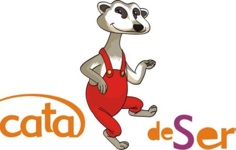 Start-up: S-a lansat primul site de asistenta la cumparaturi