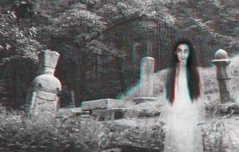  Top  Cele mai faimoase 10 poze cu fantome