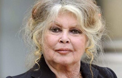 Brigitte Bardot, o noua scrisoare adresata "presedintelui nefericitei Romanii"