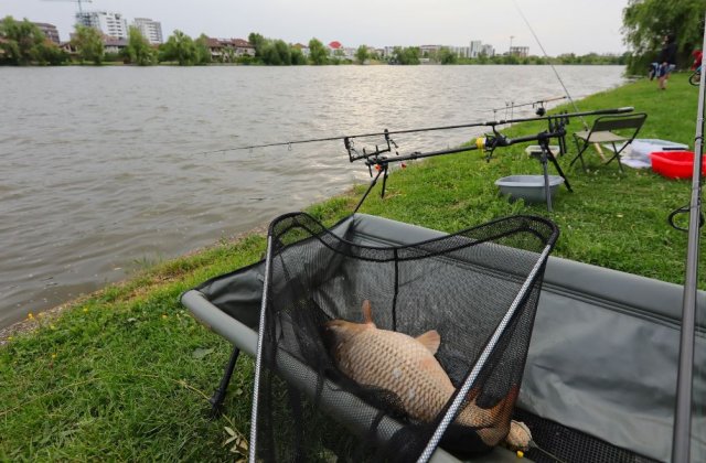 Originea expresiei „Cât ai zice pește”. Credințe legate de pește