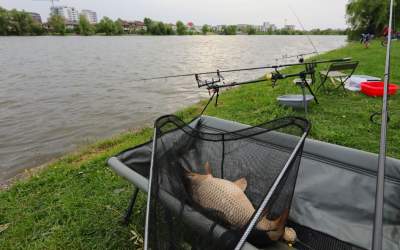 Originea expresiei „Cât ai...