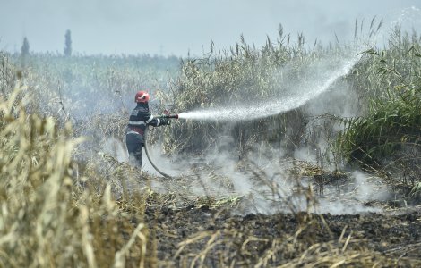 Bihor: Incendiu de vegetație pe 15 hectare