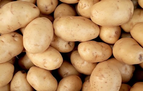 România este al șaptelea producător de cartofi din Uniunea Europeană
