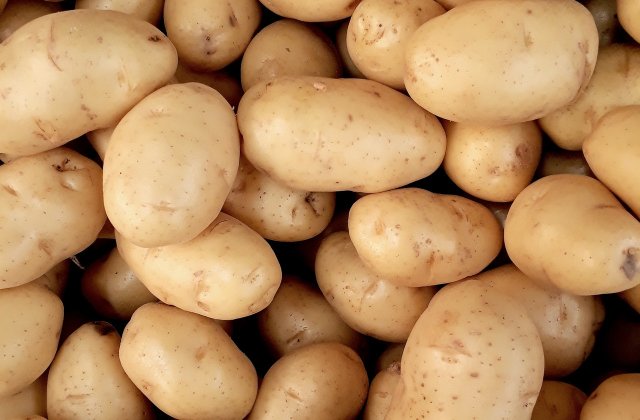 Rom&acirc;nia este al șaptelea producător de cartofi din Uniunea Europeană