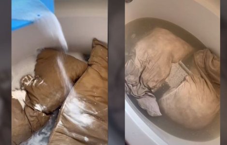 VIDEO O femeie a rămas șocată după ce a spălat pernele soțului ei