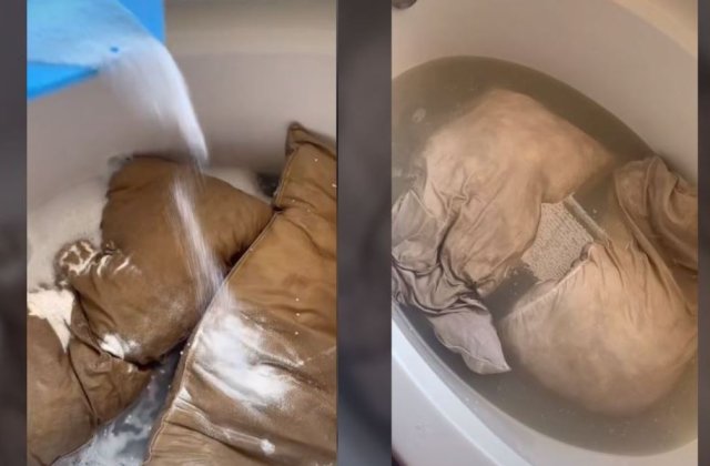 VIDEO O femeie a rămas șocată după ce a spălat pernele soțului ei