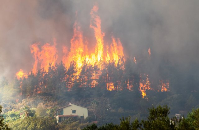 Incendiile de vegetație din sudul Italiei se extind tocmai p&acirc;nă la Roma