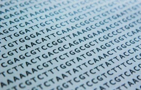 Ceasul biologic din ADN, descoperit de un cercetator american