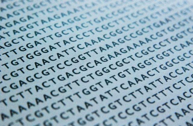 Ceasul biologic din ADN, descoperit de un cercetator american