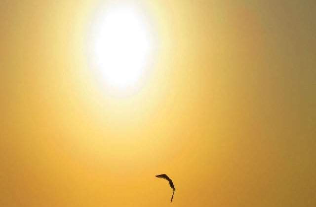 Expunerea la razele ultraviolete cauzeaza aparitia a 80% din ridurilor vizibile