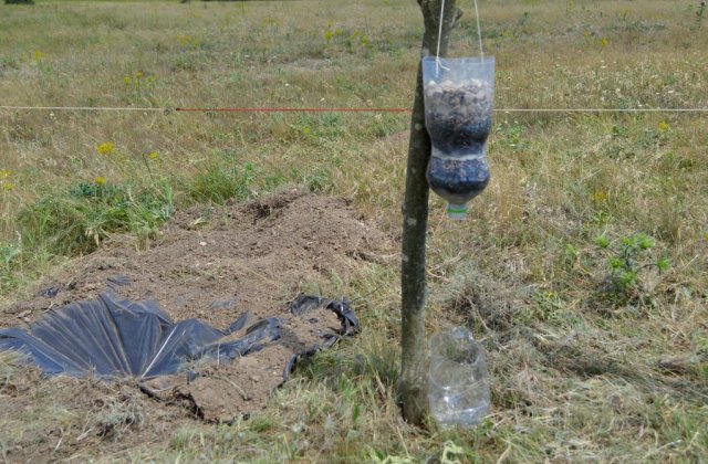 Anchetă la Câmpina: Apa nu e potabilă. Măsurile luate în acest context