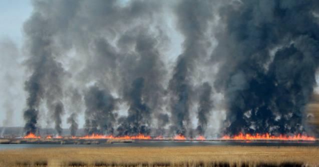 Tulcea: Circa 50 de hectare de vegetație uscată și miriște, distruse de incendiile din ultimele 24 de ore