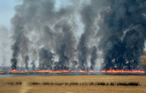 Tulcea: Circa 50 de hectare de vegetație uscată și miriște, distruse de incendiile din ultimele 24 de ore