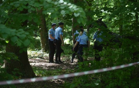 Polițiștii din Vaslui, depășiți de capturarea unui infractor. L-au pierdut într-o pădure tocmai când urmau să-l încătușeze