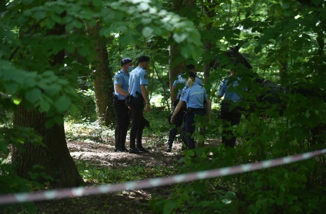 Polițiștii din Vaslui, depășiți de capturarea unui infractor. L-au pierdut &icirc;ntr-o pădure tocmai c&acirc;nd urmau să-l &icirc;ncătușeze