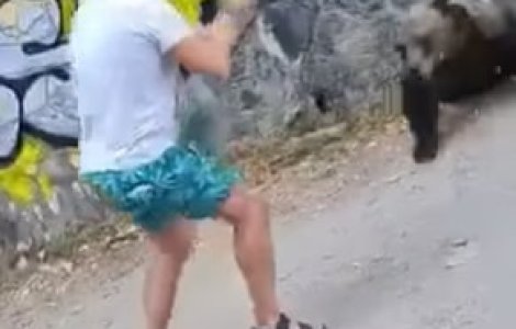 VIDEO Un bărbat a fost atacat de urs în timp ce încerca să fotografieze animalul