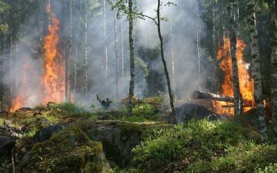 Un nou incendiu de vegetație...