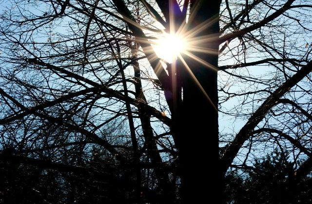Meteo: Starea vremii la inceputul saptamanii