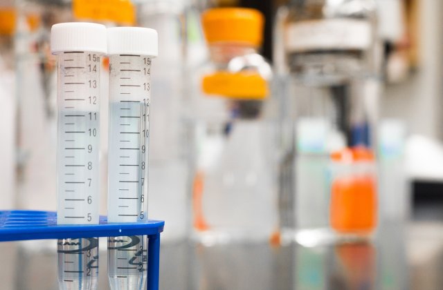 Compania Valneva a solicitat autorizarea vaccinului anti-COVID &icirc;n Marea Britanie