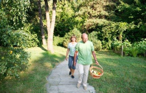 Traian Basescu a postat pe Facebook imagini din gradina sa de legume