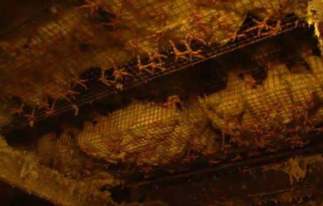 Suntem ceea ce mancam, din pacate?!