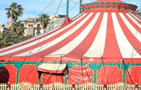 Catalonia vrea sa interzica spectacolele de circ cu dresura de animale