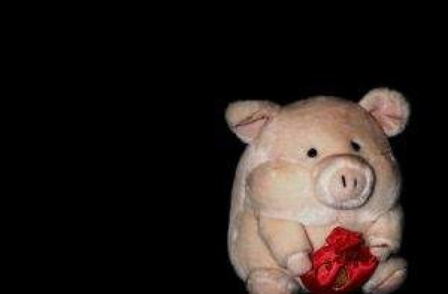 Ce economii ar face statul din "concedierea bugetarilor pe 2010"?