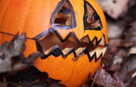 Peste 1.500 de americani si canadieni au petrecut Halloween-ul in Romania