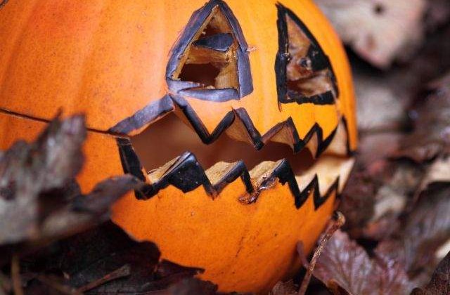 Peste 1.500 de americani si canadieni au petrecut Halloween-ul in Romania