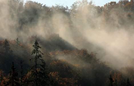 Prognoza meteo pentru ziua de joi, 2 septembrie 2021. Vânt nervos în aproape toată țara și răcoare în nord și centru