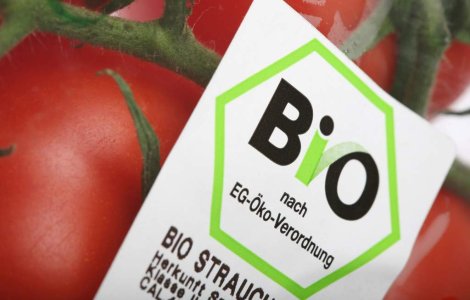Alimente bio vs non bio