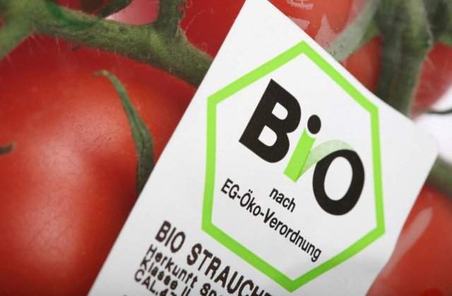 Alimente bio vs non bio