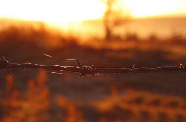 Acord intre Rusia si Austria privind South Stream