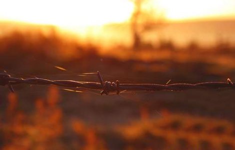 Acord intre Rusia si Austria privind South Stream