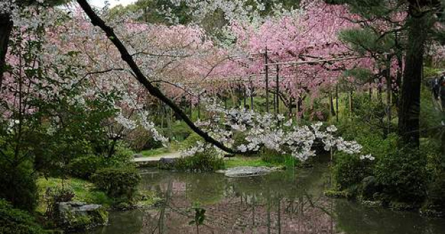 Festival japonez la Bucuresti