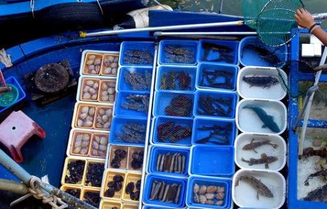 POP: Fonduri nerambursabile de 2,5 milioane euro