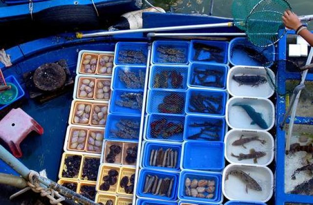 POP: Fonduri nerambursabile de 2,5 milioane euro