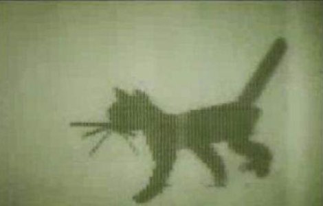  Video  Cea mai veche animatie pe calculator