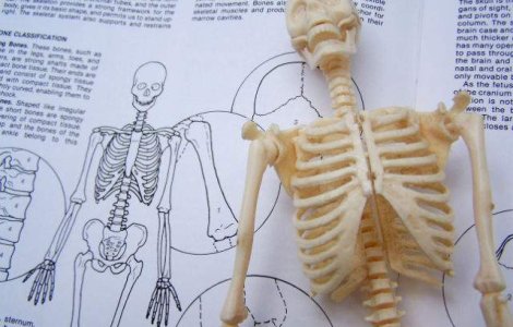 O noua parte a corpului uman, descoperita de doi chirurgi belgieni