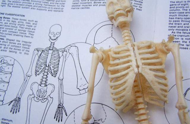 O noua parte a corpului uman, descoperita de doi chirurgi belgieni